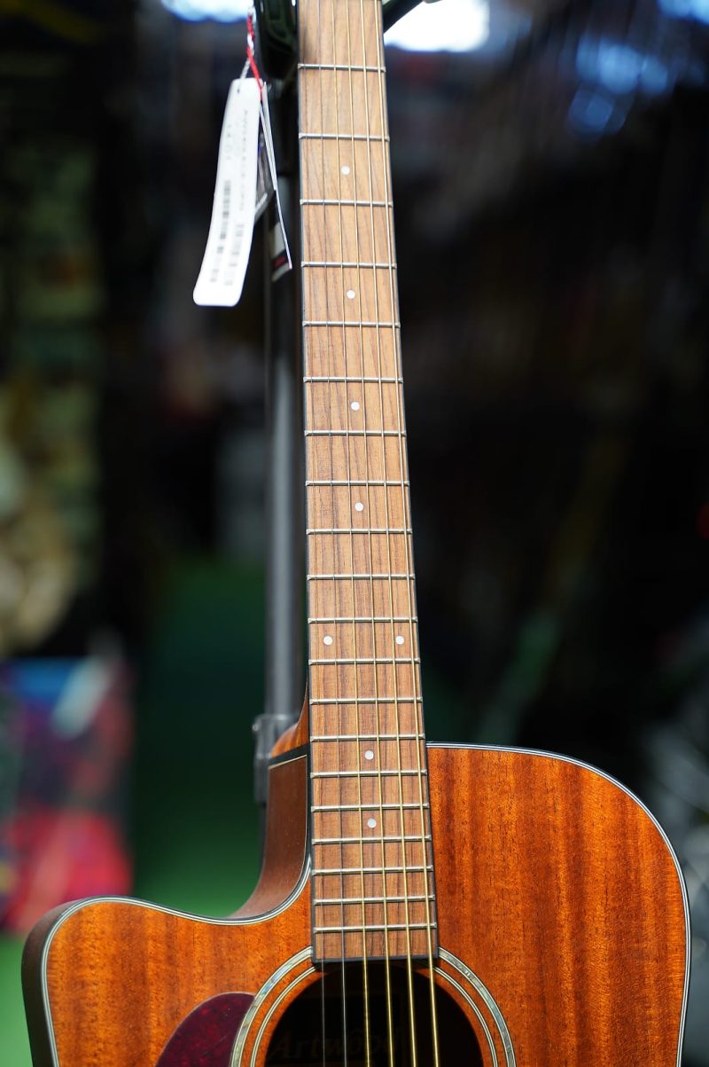 Ibanez AW240LECE-OPN