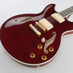Ibanez EKM100-WRD Eric Krasno Signature Hollowbody Guitar Made in Japan Wine Red incl case