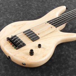 Ibanez GWB1005-NTF Gary Willis Signature E-Bass Made in Japan 5 String Fretless Natural Flat