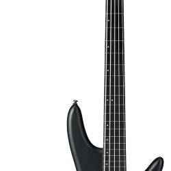 Ibanez GWB35-BKF Gary Willis Signature E-Bass 5 String Fretless Black Flat