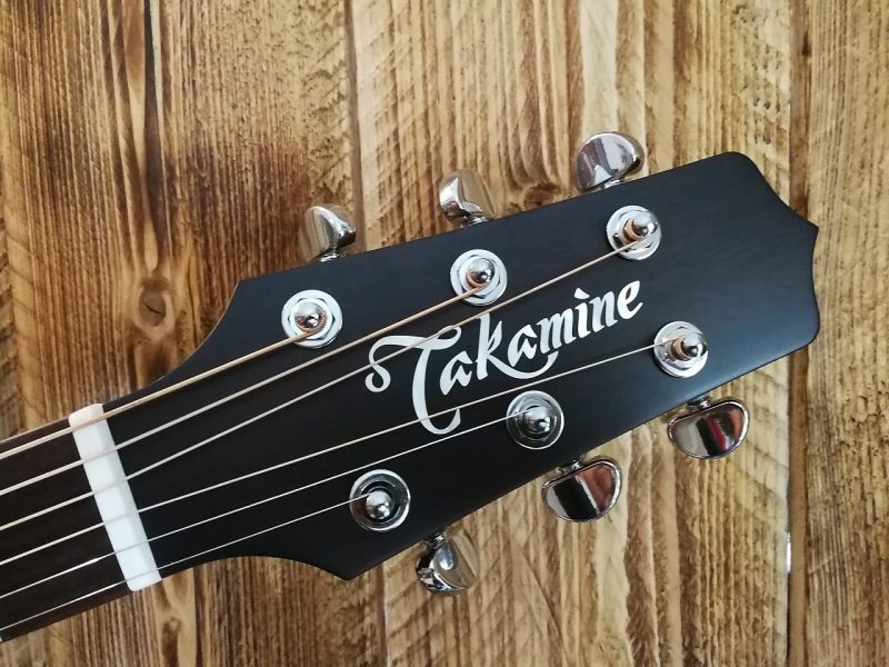 Takamine Pro1 DC SM Dreadnought Guitar + Case