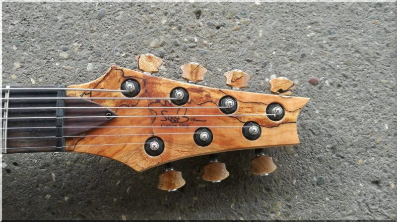 7 string Custom Guitar id 351 5