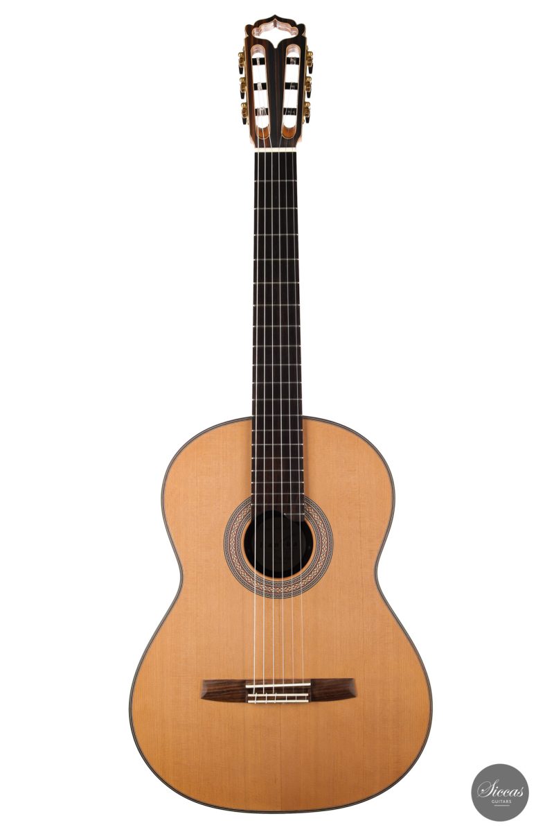 Classical guitar Armin Hanika 2021 1 1
